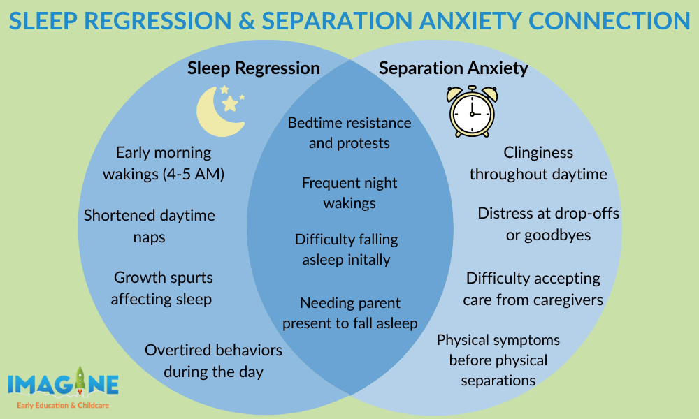 infographic showing the differences and similarities between sleep regression and separation anxiety